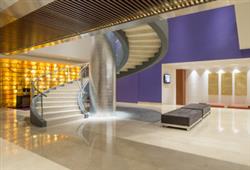 Camino Real Pedregal